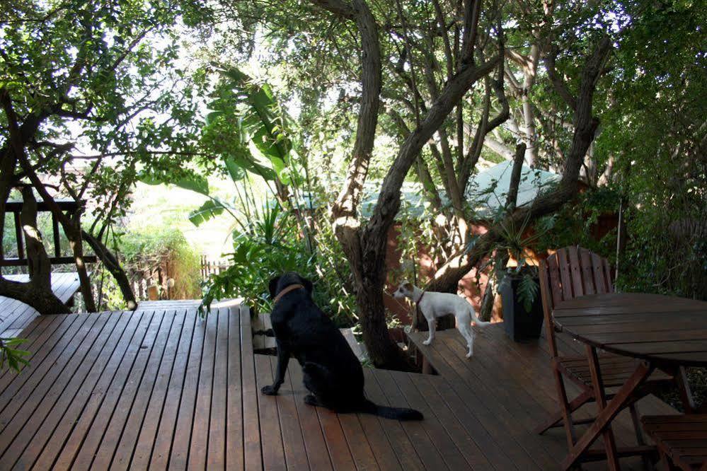 Zen Guesthouse Jeffreys Bay Kültér fotó